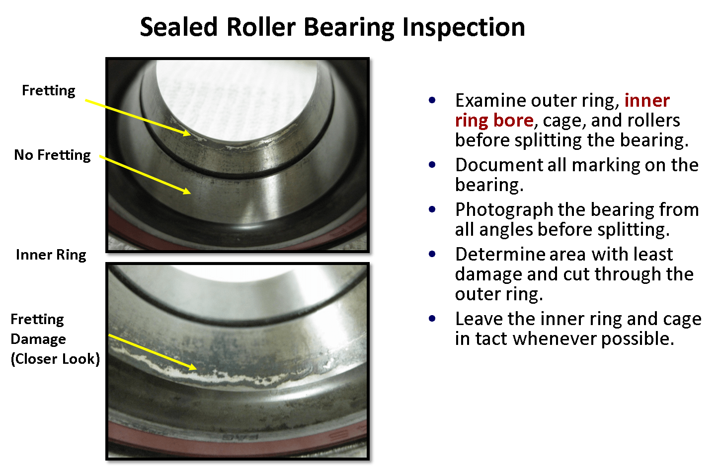 Examining Rolling Element Bearings Reliability